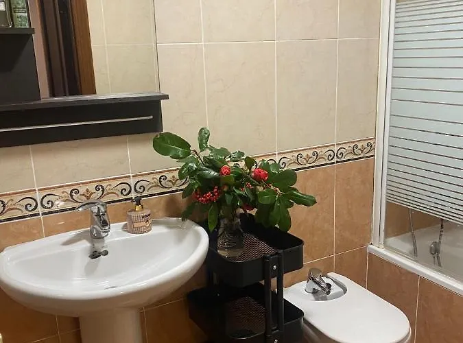 Alameda 5 奥维耶多